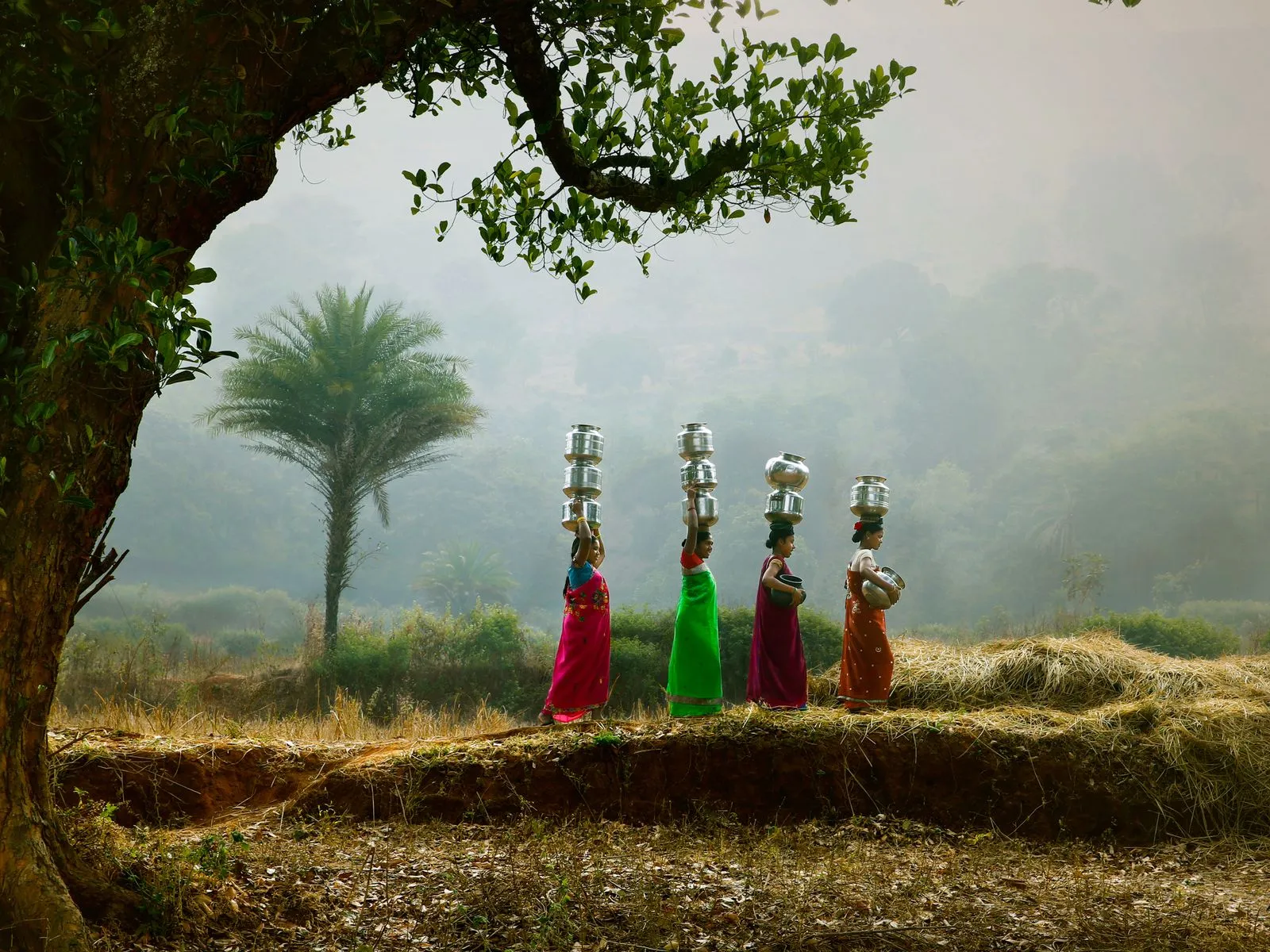 Women carrying water pots through a misty field